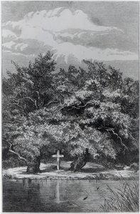 Charles Waterton